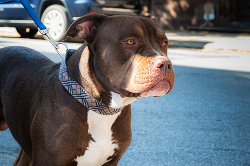 Farmers Market  |  Troy, NY - Oct 2025